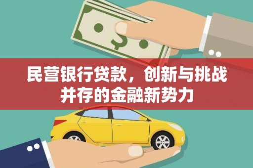 沧源民营银行贷款，创新与挑战并存的金融新势力