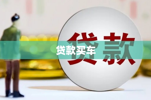 沧源贷款买车