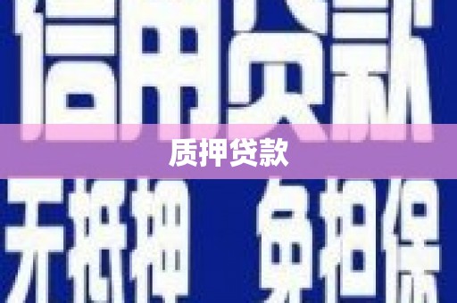 沧源质押贷款