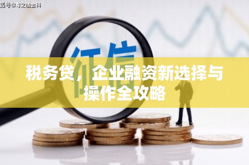 沧源税务贷，企业融资新选择与操作全攻略