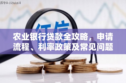 沧源农业银行贷款全攻略，申请流程、利率政策及常见问题解析