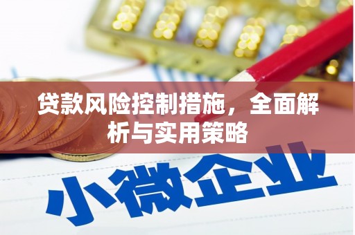 沧源贷款风险控制措施，全面解析与实用策略