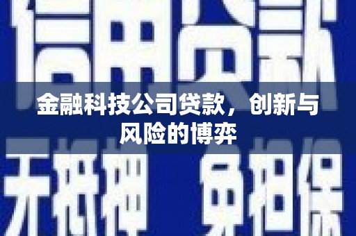 沧源金融科技公司贷款，创新与风险的博弈