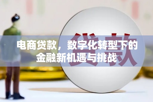 沧源电商贷款，数字化转型下的金融新机遇与挑战