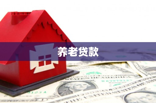 沧源养老贷款