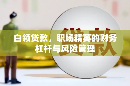 沧源白领贷款，职场精英的财务杠杆与风险管理