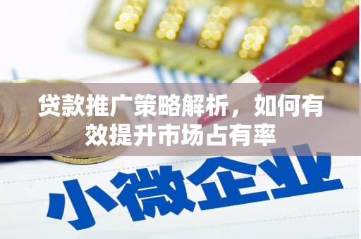 沧源贷款推广策略解析，如何有效提升市场占有率