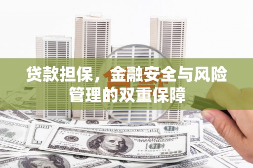 沧源贷款担保，金融安全与风险管理的双重保障