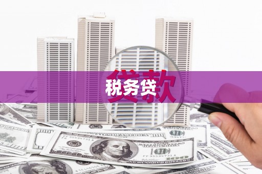 沧源税务贷