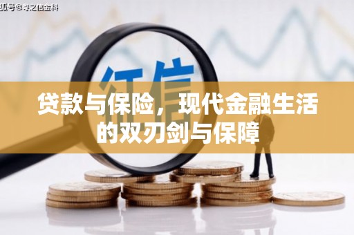 沧源贷款与保险，现代金融生活的双刃剑与保障