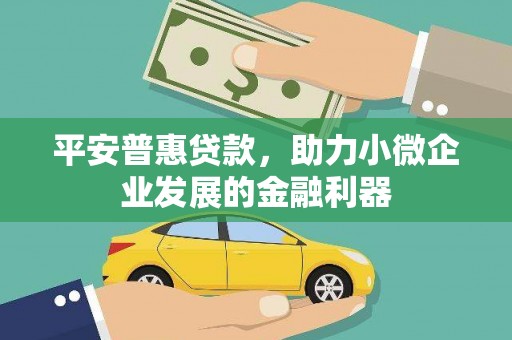 沧源平安普惠贷款，助力小微企业发展的金融利器