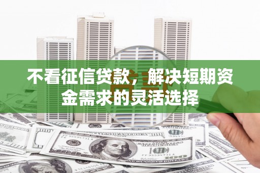 沧源不看征信贷款，解决短期资金需求的灵活选择