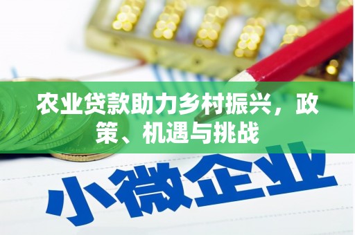 沧源农业贷款助力乡村振兴，政策、机遇与挑战