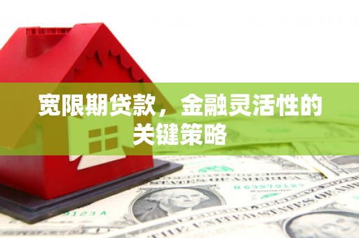 沧源宽限期贷款，金融灵活性的关键策略