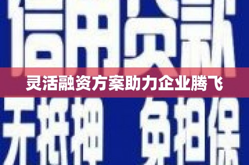 沧源灵活融资方案助力企业腾飞