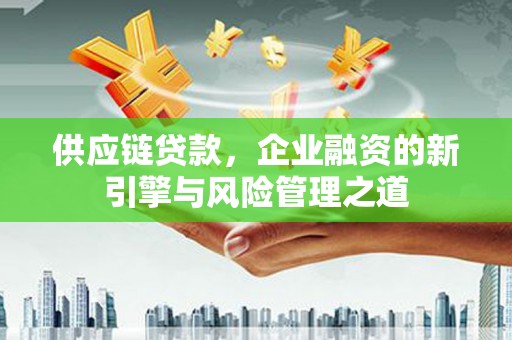 沧源供应链贷款，企业融资的新引擎与风险管理之道