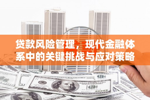 沧源贷款风险管理，现代金融体系中的关键挑战与应对策略