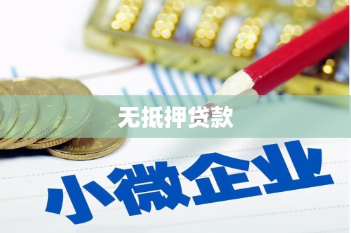 沧源无抵押贷款