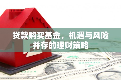 沧源贷款购买基金，机遇与风险并存的理财策略