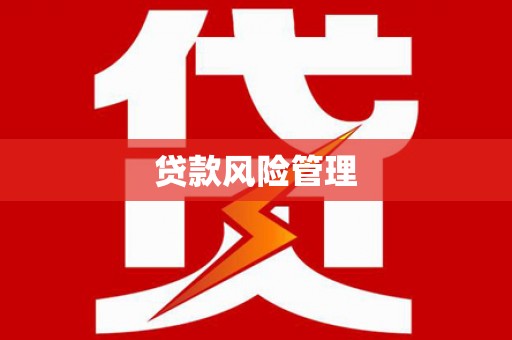沧源贷款风险管理