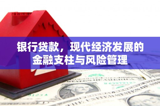 沧源银行贷款，现代经济发展的金融支柱与风险管理