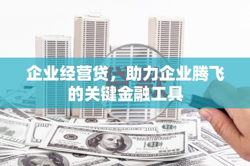 沧源企业经营贷，助力企业腾飞的关键金融工具