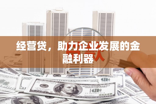 沧源经营贷，助力企业发展的金融利器