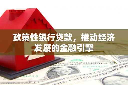 沧源政策性银行贷款，推动经济发展的金融引擎
