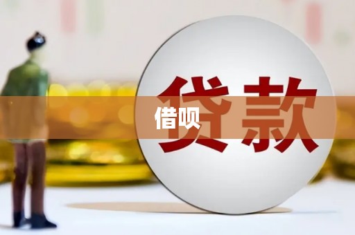 沧源借呗
