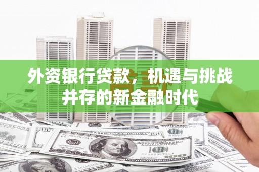 沧源外资银行贷款，机遇与挑战并存的新金融时代