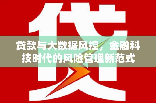 沧源贷款与大数据风控，金融科技时代的风险管理新范式