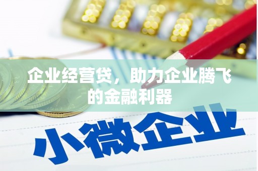 沧源企业经营贷，助力企业腾飞的金融利器