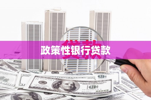 沧源政策性银行贷款