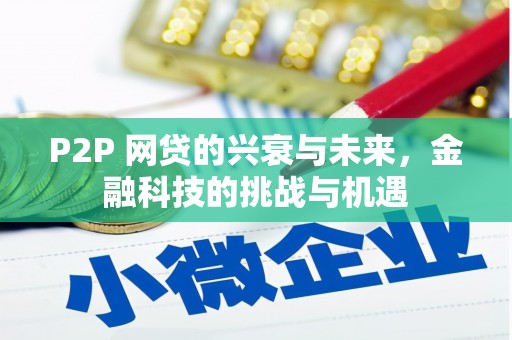 沧源P2P 网贷的兴衰与未来，金融科技的挑战与机遇