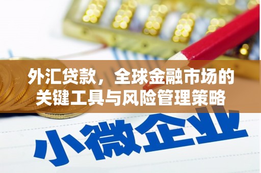 沧源外汇贷款，全球金融市场的关键工具与风险管理策略