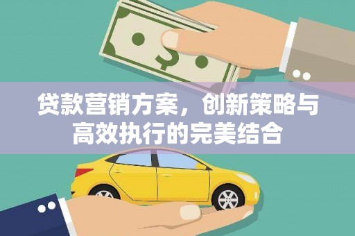 沧源贷款营销方案，创新策略与高效执行的完美结合