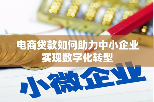 沧源电商贷款如何助力中小企业实现数字化转型