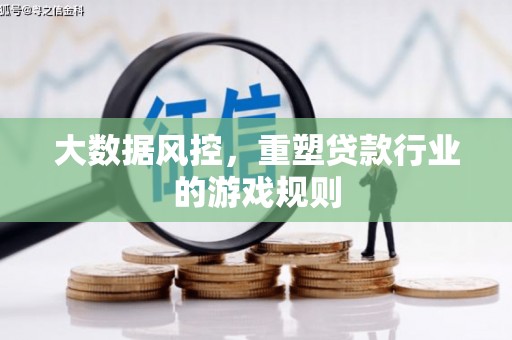 沧源大数据风控，重塑贷款行业的游戏规则
