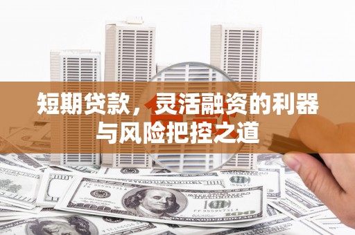 沧源短期贷款，灵活融资的利器与风险把控之道