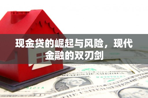 沧源现金贷的崛起与风险，现代金融的双刃剑