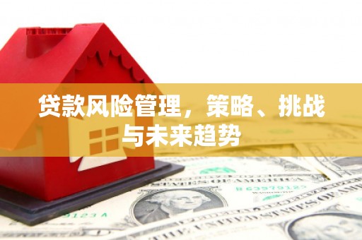 沧源贷款风险管理，策略、挑战与未来趋势