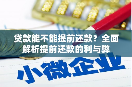 沧源贷款能不能提前还款？全面解析提前还款的利与弊