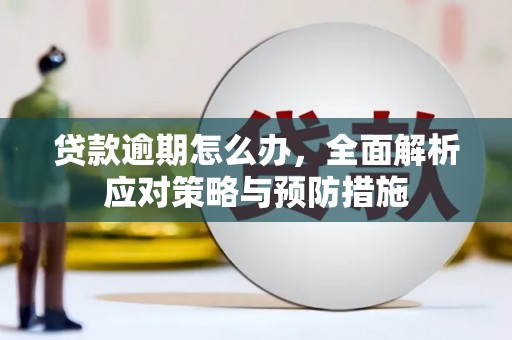 沧源贷款逾期怎么办，全面解析应对策略与预防措施