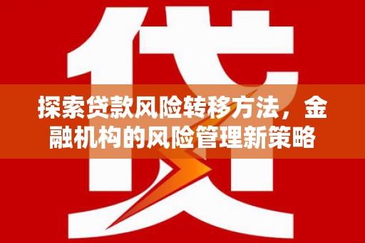 沧源探索贷款风险转移方法，金融机构的风险管理新策略