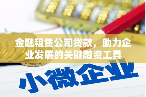 沧源金融租赁公司贷款，助力企业发展的关键融资工具
