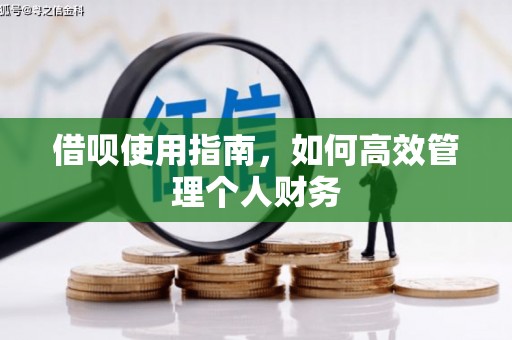 沧源借呗使用指南，如何高效管理个人财务