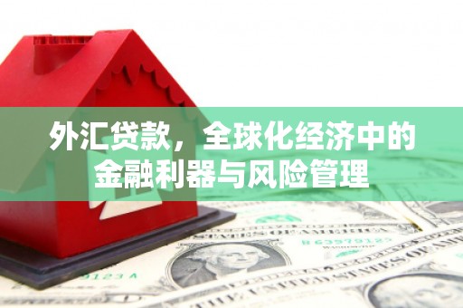 沧源外汇贷款，全球化经济中的金融利器与风险管理