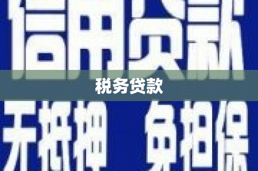 沧源税务贷款