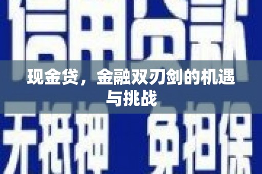 沧源现金贷，金融双刃剑的机遇与挑战