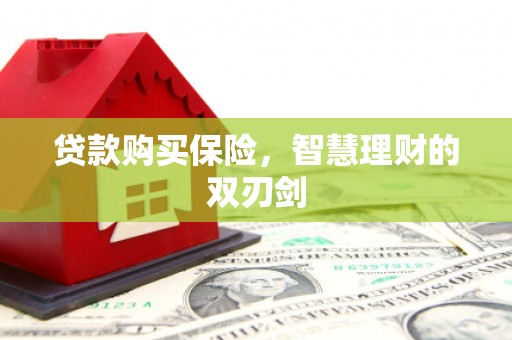 沧源贷款购买保险，智慧理财的双刃剑